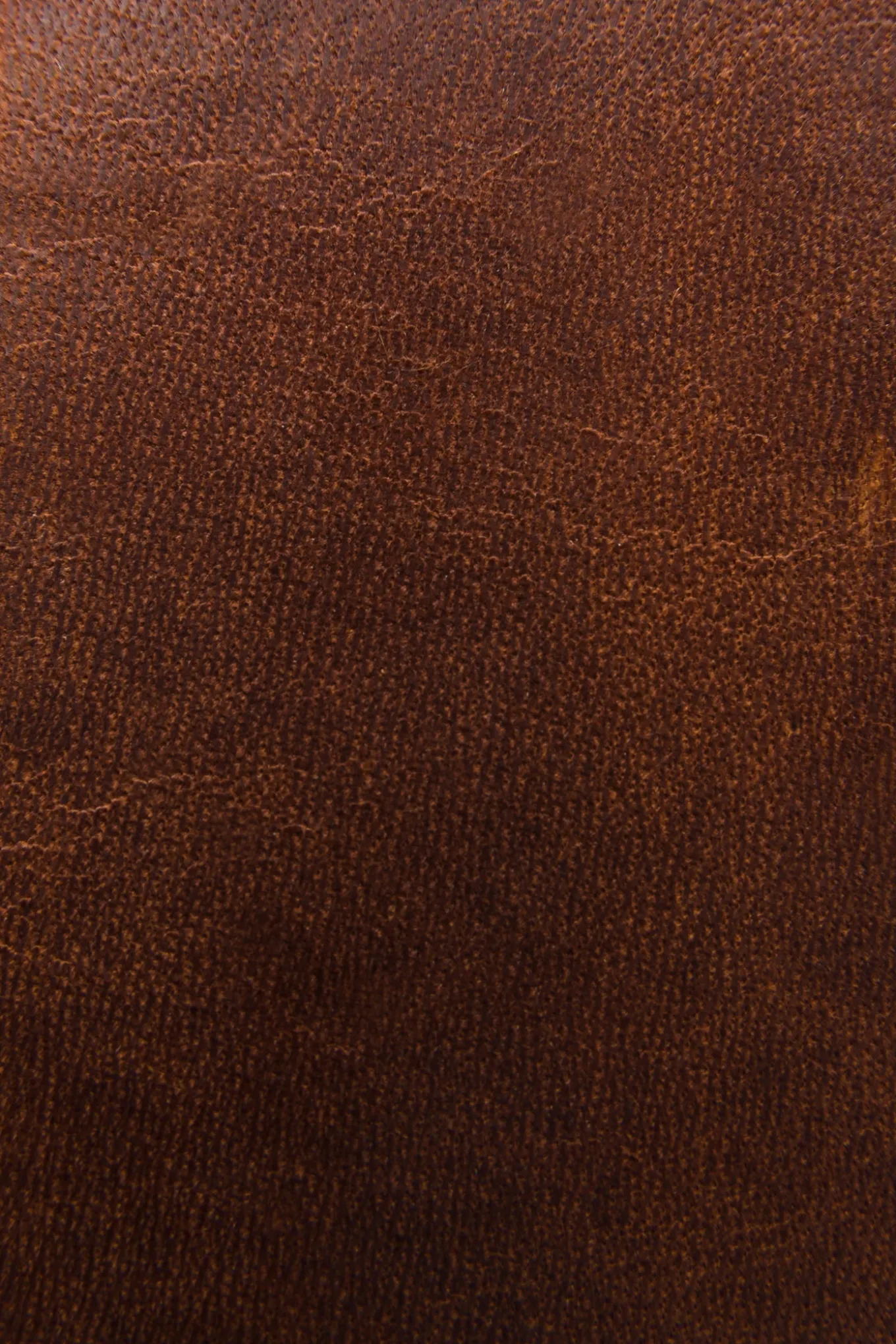 Logan Money Clip Card Case