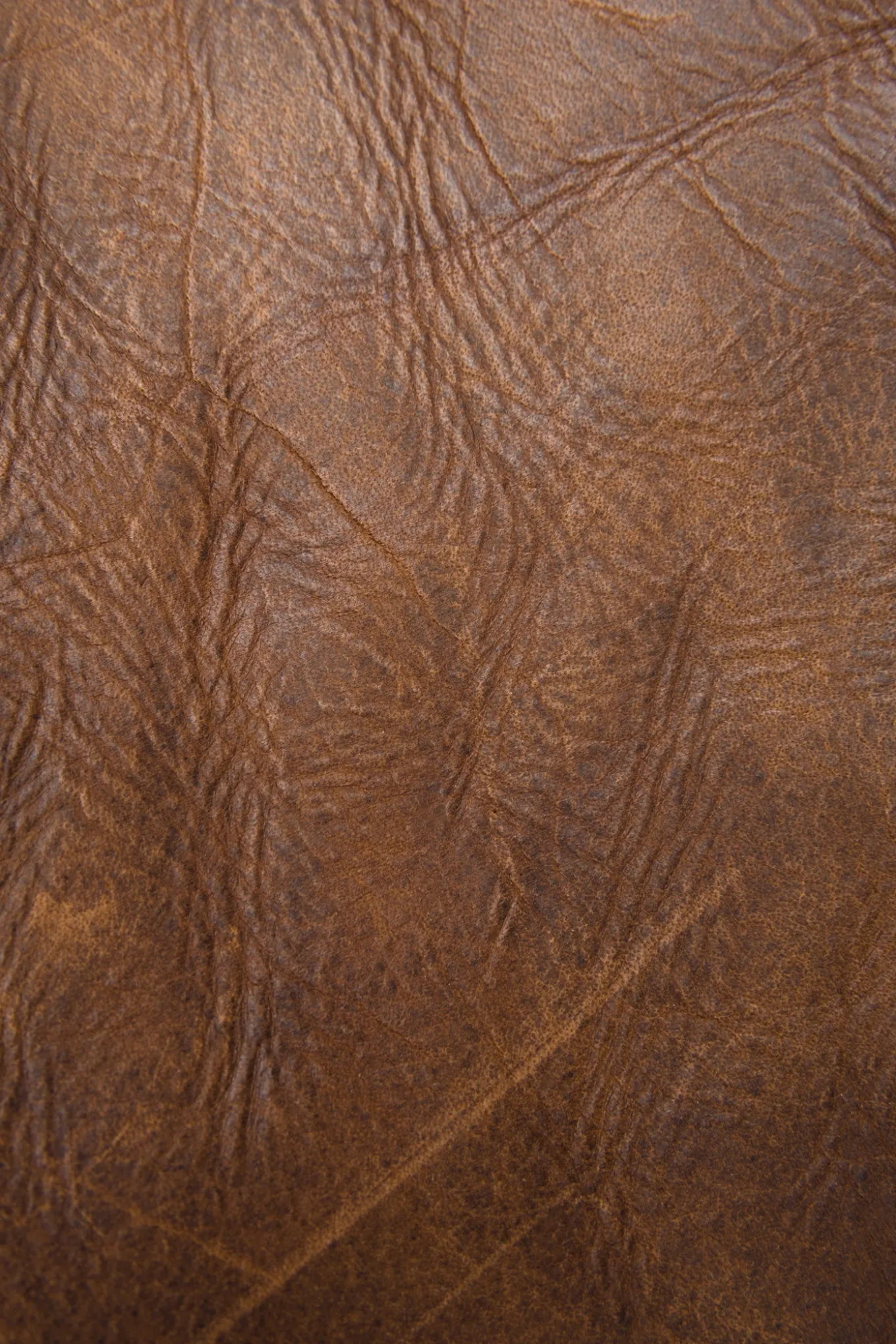 Melissa Satchel